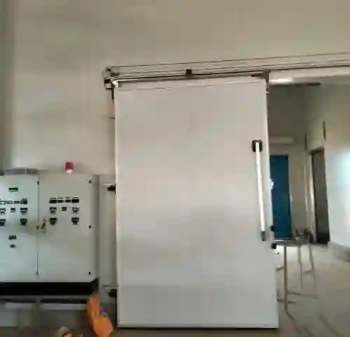 Automatic doors for cold storage: Reducing heat loss and saving energy