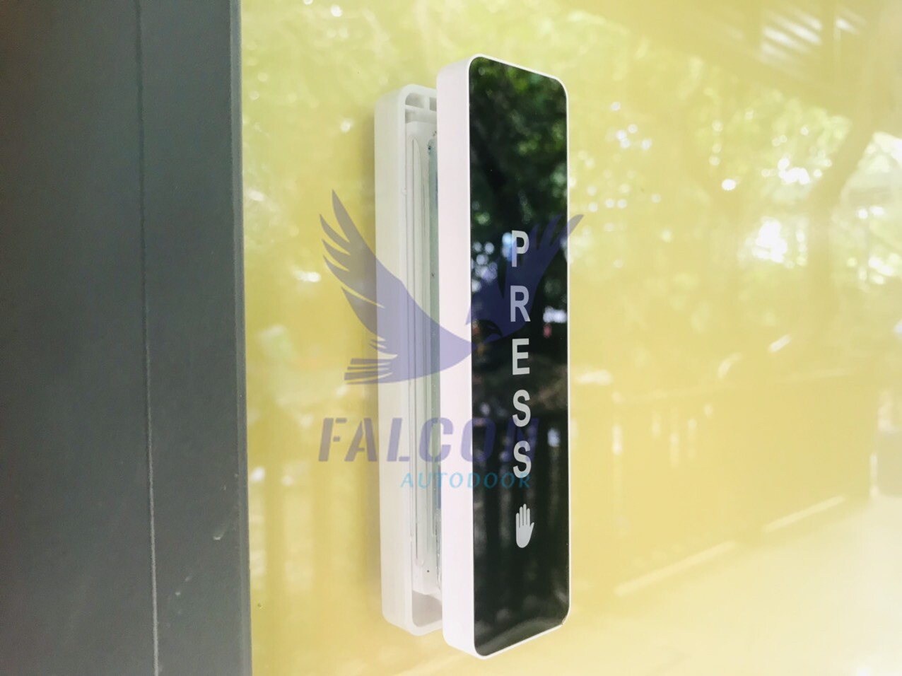 Institute of Traditional Medicine