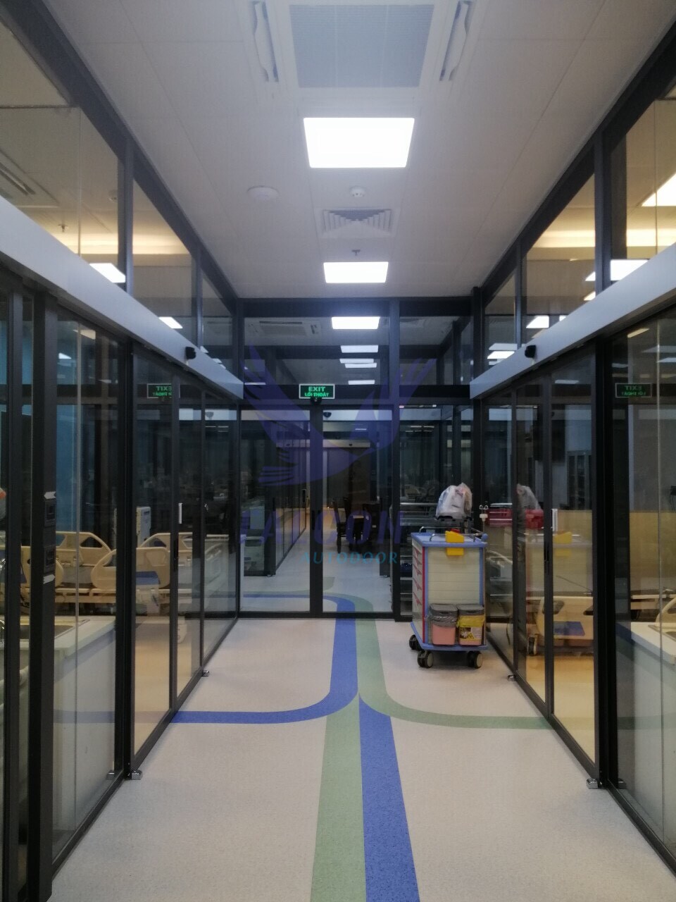 Institute of Traditional Medicine